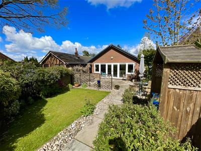 Picture 17